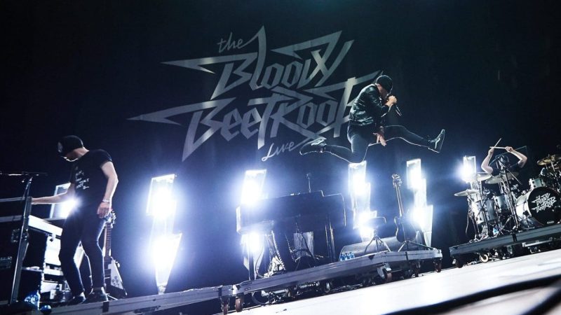 Bloody Beetroots