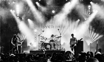 De Belgen voor Werchter met Psychonaut © Christophe Brysse