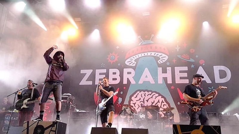 Zebrahead